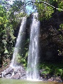 Waterfoll in Springbrook National Park